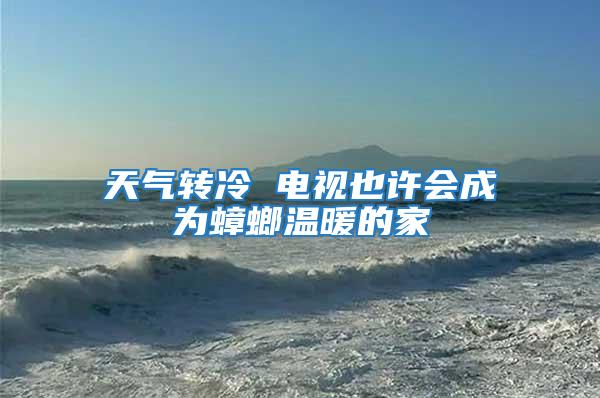 天氣轉(zhuǎn)冷 電視也許會(huì)成為蟑螂溫暖的家