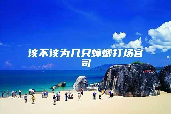該不該為幾只蟑螂打場(chǎng)官司