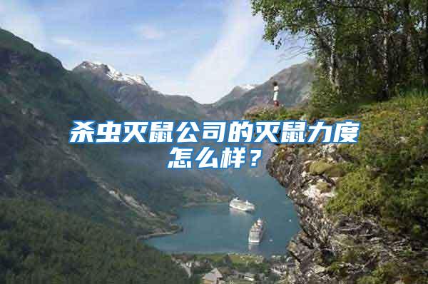 殺蟲滅鼠公司的滅鼠力度怎么樣？
