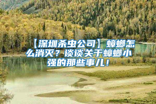 【深圳殺蟲公司】蟑螂怎么消滅？談談關于蟑螂小強的那些事兒！