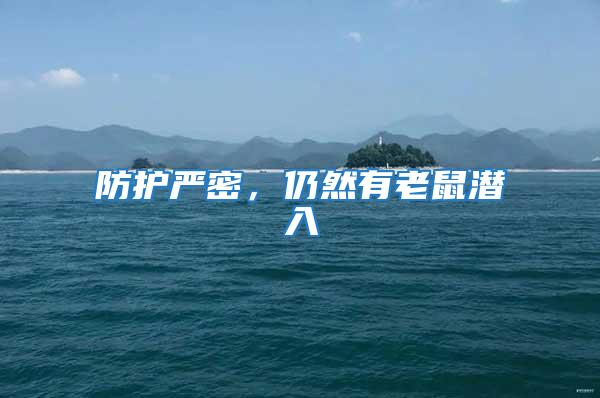 防護嚴(yán)密，仍然有老鼠潛入
