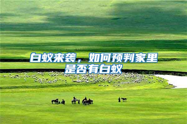 白蟻來襲，如何預判家里是否有白蟻