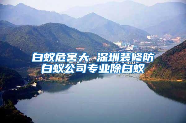 白蟻危害大 深圳裝修防白蟻公司專(zhuān)業(yè)除白蟻