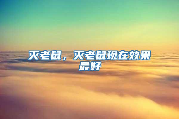 滅老鼠，滅老鼠現在效果最好