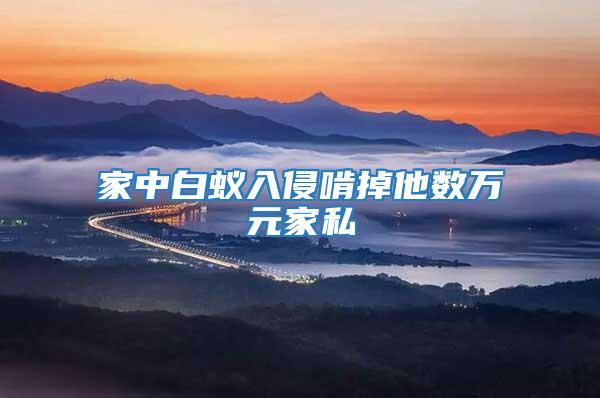 家中白蟻入侵啃掉他數萬元家私