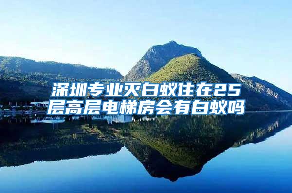 深圳專業滅白蟻住在25層高層電梯房會有白蟻嗎