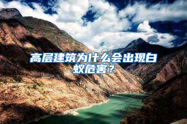 高層建筑為什么會出現白蟻危害？