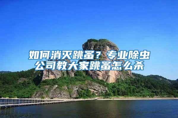 如何消滅跳蚤？專業除蟲公司教大家跳蚤怎么殺