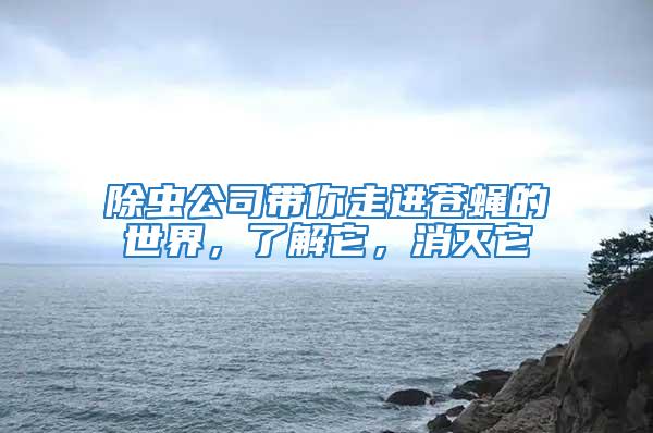除蟲公司帶你走進蒼蠅的世界，了解它，消滅它