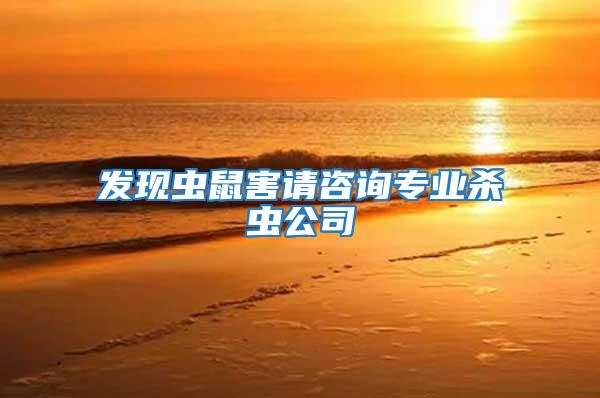 發(fā)現(xiàn)蟲(chóng)鼠害請(qǐng)咨詢專業(yè)殺蟲(chóng)公司