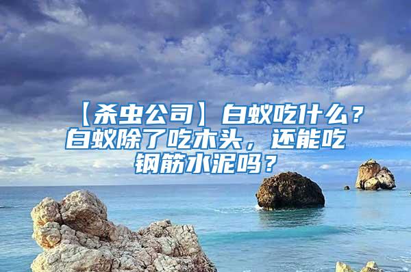 【殺蟲公司】白蟻吃什么？白蟻除了吃木頭，還能吃鋼筋水泥嗎？