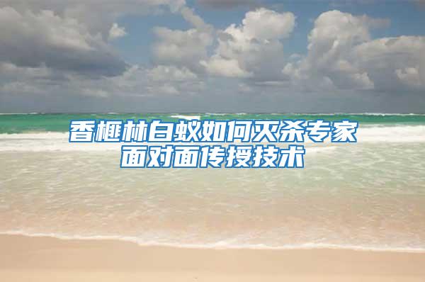 香榧林白蟻如何滅殺專家面對面傳授技術