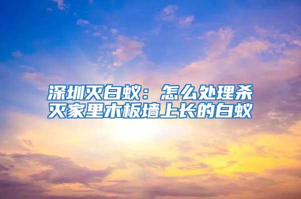 深圳滅白蟻：怎么處理殺滅家里木板墻上長(zhǎng)的白蟻