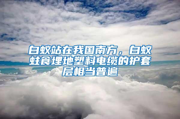 白蟻站在我國南方，白蟻蛀食埋地塑料電纜的護套層相當普遍