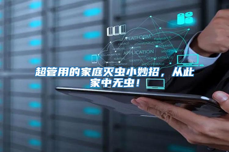 超管用的家庭滅蟲小妙招，從此家中無蟲！