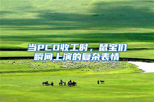當(dāng)PCO收工時，鼠寶們瞬間上演的復(fù)雜表情