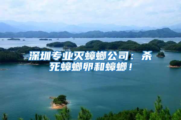 深圳專業滅蟑螂公司：殺死蟑螂卵和蟑螂！
