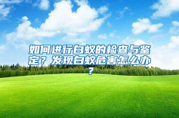 如何進行白蟻的檢查與鑒定？發現白蟻危害怎么辦？