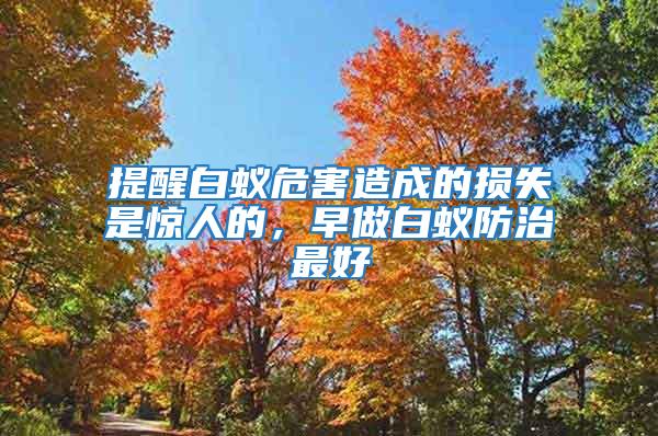 提醒白蟻危害造成的損失是驚人的，早做白蟻防治最好