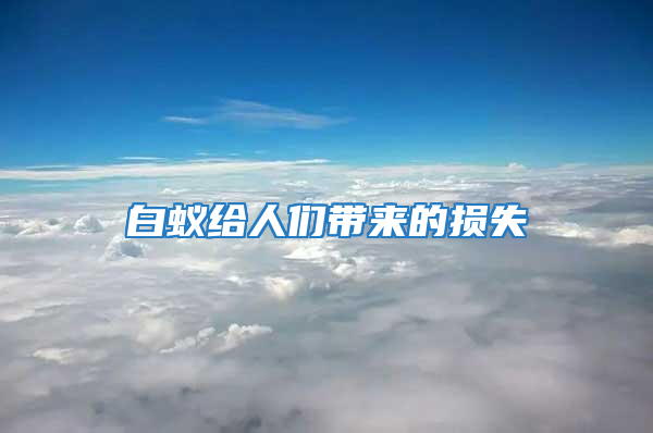 白蟻給人們帶來(lái)的損失