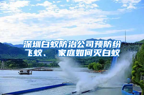 深圳白蟻防治公司預防紛飛蟻、 家庭如何滅白蟻