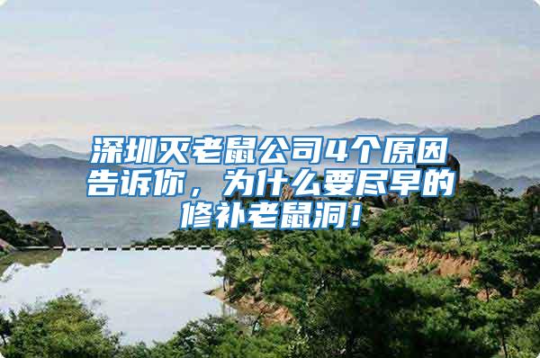 深圳滅老鼠公司4個原因告訴你，為什么要盡早的修補老鼠洞！