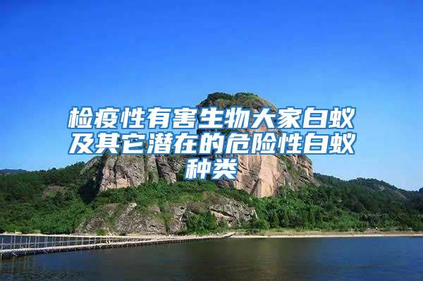 檢疫性有害生物大家白蟻及其它潛在的危險(xiǎn)性白蟻種類