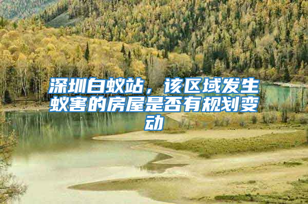 深圳白蟻站，該區域發生蟻害的房屋是否有規劃變動