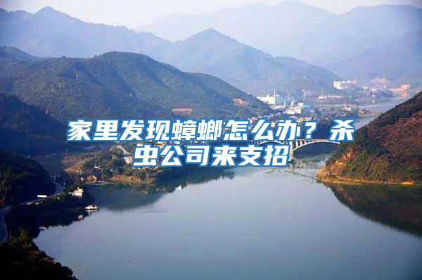 家里發現蟑螂怎么辦？殺蟲公司來支招