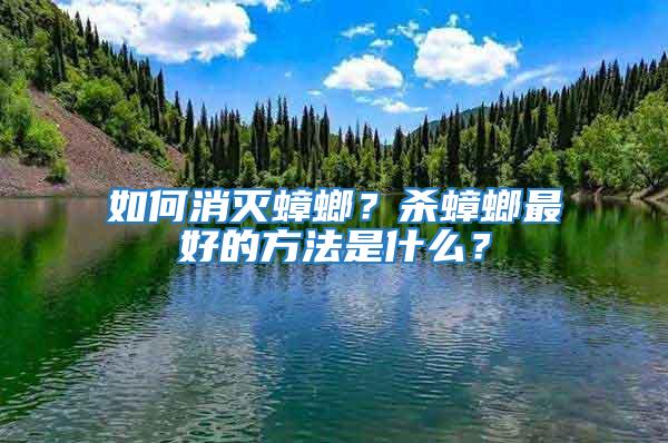 如何消滅蟑螂？殺蟑螂最好的方法是什么？