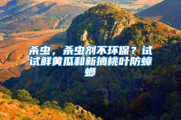 殺蟲，殺蟲劑不環(huán)保？試試鮮黃瓜和新摘桃葉防蟑螂