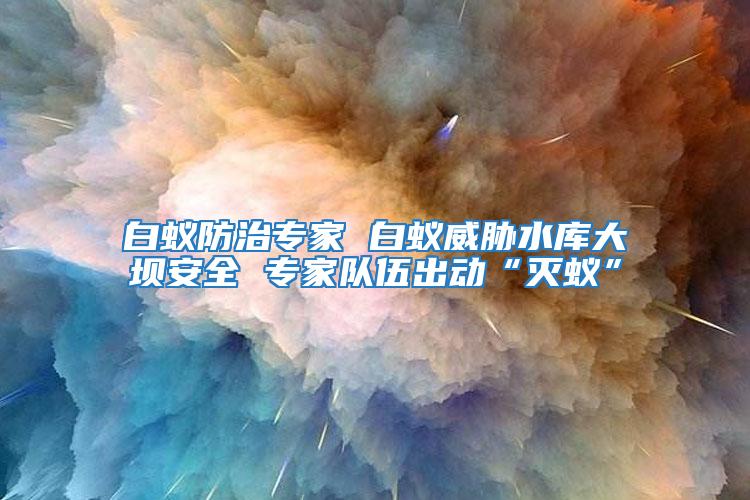 白蟻防治專家 白蟻威脅水庫大壩安全 專家隊伍出動“滅蟻”