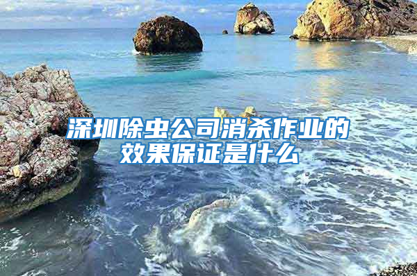 深圳除蟲(chóng)公司消殺作業(yè)的效果保證是什么