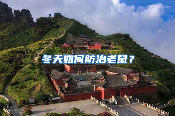 冬天如何防治老鼠？