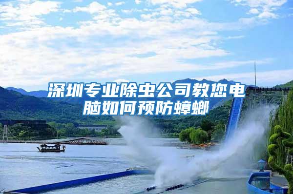 深圳專業(yè)除蟲公司教您電腦如何預(yù)防蟑螂