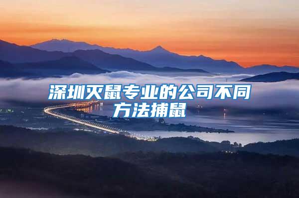 深圳滅鼠專業的公司不同方法捕鼠