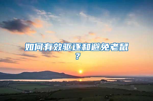 如何有效驅逐和避免老鼠？