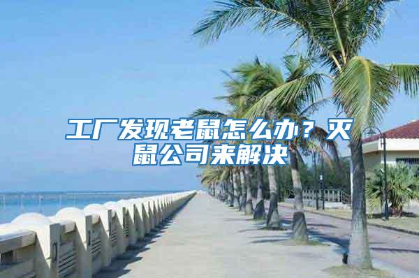 工廠發(fā)現(xiàn)老鼠怎么辦？滅鼠公司來(lái)解決