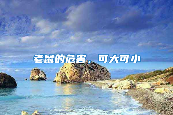 老鼠的危害，可大可小