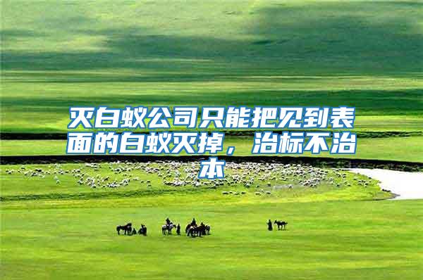滅白蟻公司只能把見到表面的白蟻滅掉，治標不治本