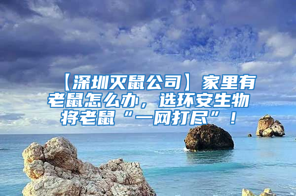 【深圳滅鼠公司】家里有老鼠怎么辦，選環安生物將老鼠“一網打盡”！