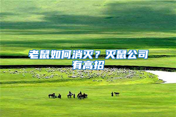 老鼠如何消滅？滅鼠公司有高招