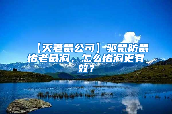【滅老鼠公司】驅鼠防鼠堵老鼠洞，怎么堵洞更有效？