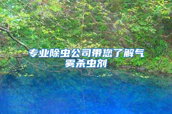 專業除蟲公司帶您了解氣霧殺蟲劑
