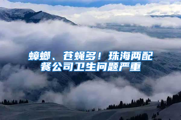 蟑螂、蒼蠅多！珠海兩配餐公司衛生問題嚴重