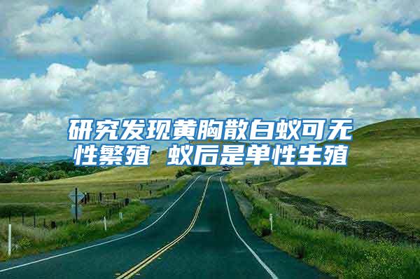 研究發(fā)現(xiàn)黃胸散白蟻可無性繁殖 蟻后是單性生殖