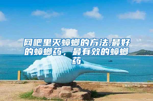網吧里滅蟑螂的方法,最好的蟑螂藥，最有效的蟑螂藥