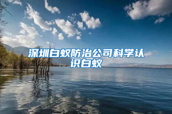 深圳白蟻防治公司科學(xué)認(rèn)識(shí)白蟻