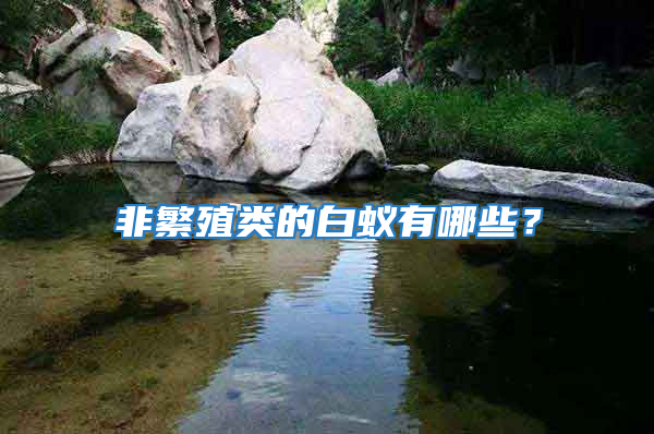非繁殖類的白蟻有哪些？