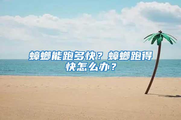 蟑螂能跑多快？蟑螂跑得快怎么辦？